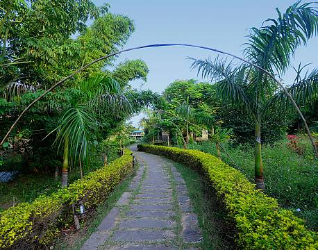  Indien Aranyak Resort – Bandhavgarh indien africa tours