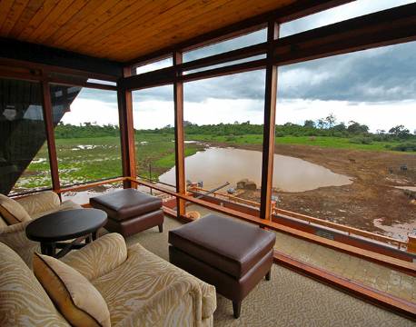 The Ark Aberdare Kenya africa tours