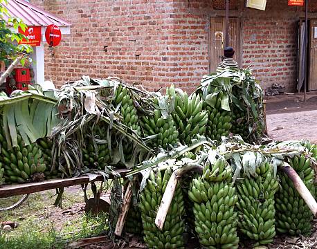 Entebbe Uganda africa tours