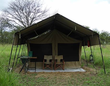 sov i luksustelt savanne africa tours