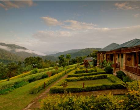 Silverback Lodge, Bwindi uganda africa tours