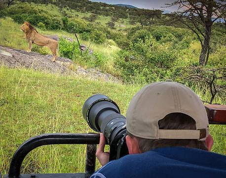 fotosafari løver tæt på africa tours