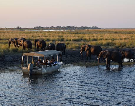 bådtur safari tæt på dyrene africa tours