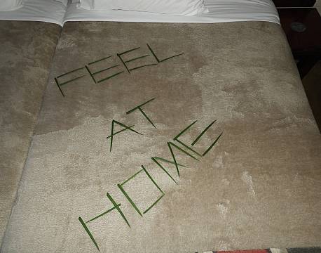 feel at home hotel africa tours