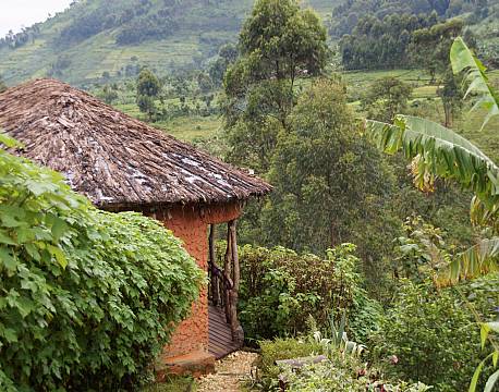 Mahogany Springs Bwindi uganda africa tours