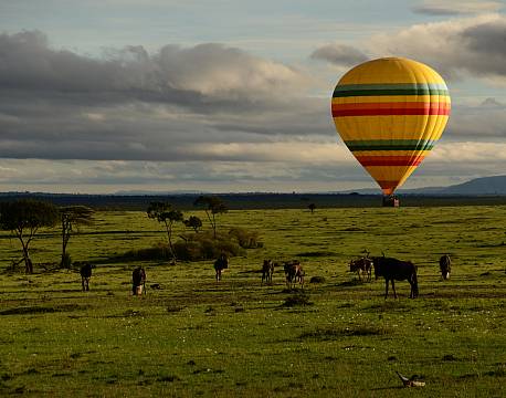 ballonsafari se dyr africa tours