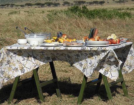 frugt på savannen africa tours