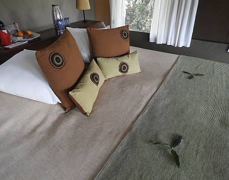 karen blixen camp seng africa tours