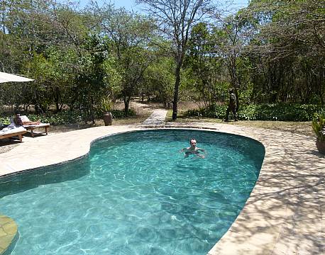 pool kenya karen blixen camp africa tours