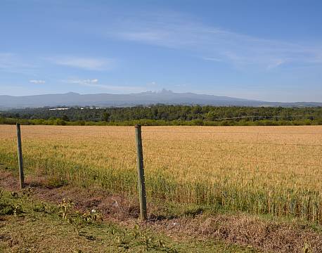 kornmark afrika africa tours