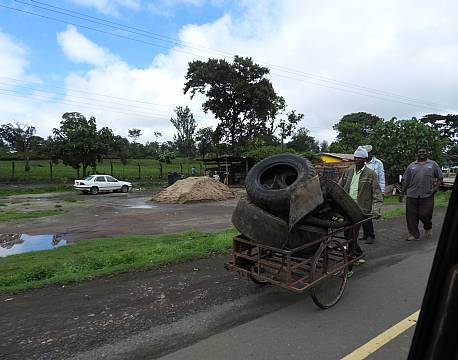 byliv tanzania africa tours