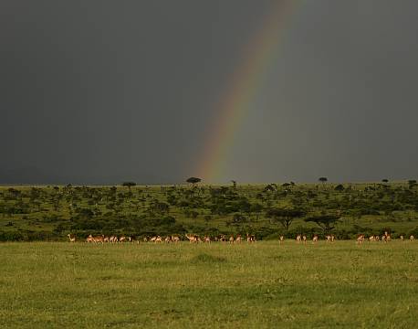 savanne regnbue africa tours