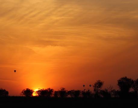 solopgang-afrikansk-savanne