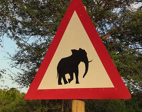 elefantskilt africa tours