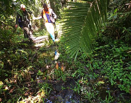 safari junglehike gorillaer africa tours