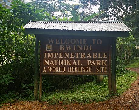 bwindi national park africa tours