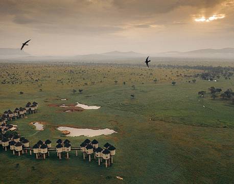 Salt Lick Lodge kenya 6 africa tours