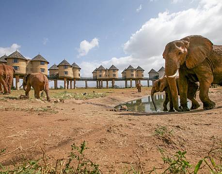 Salt Lick Lodge kenya 2 africa tours