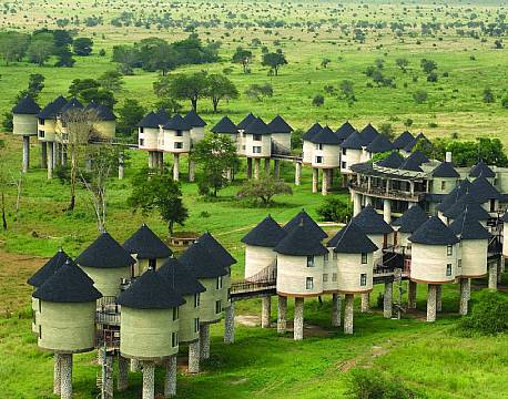 Salt Lick Lodge kenya 13 africa tours