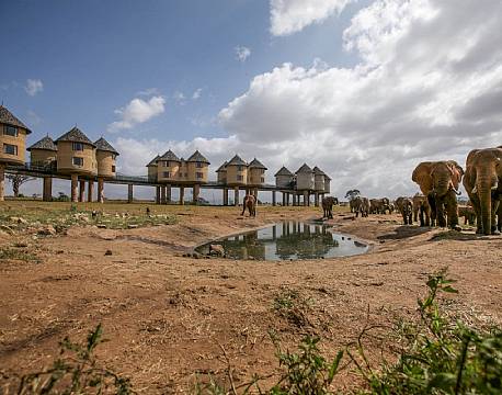 Salt Lick Lodge kenya 7 africa tours