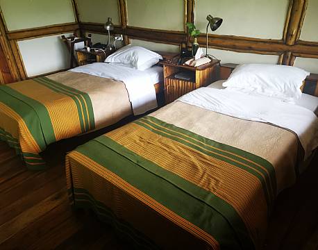 værelse i træhytte africa tours