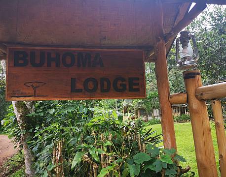 buhama lodge bwindi africa tours