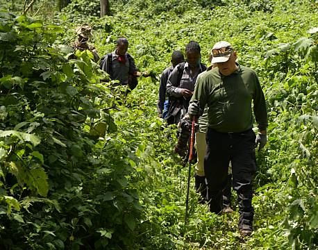 jungle vandretur africa tours