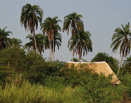 Enjojo Lodge uganda 5 africa tours