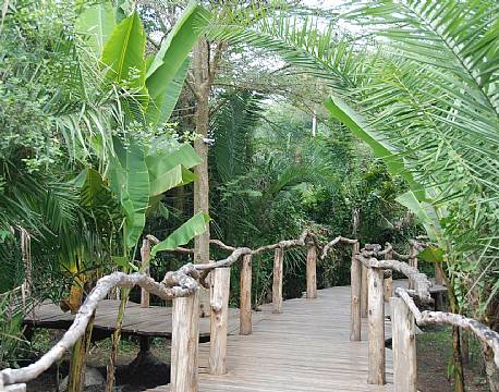 Enjojo Lodge uganda 10 africa tours