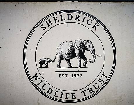 sheldrick wildlife trust africa tours