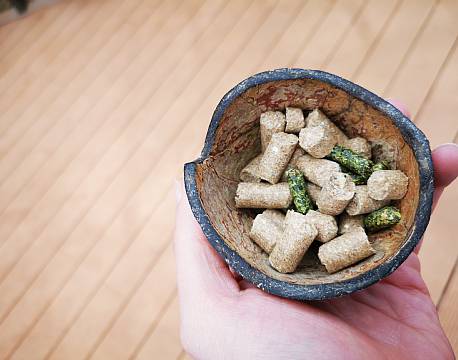 giraffodder africa tours