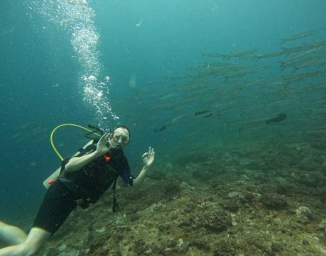 Watamu, dykning africa tours