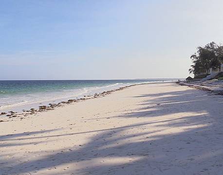 Strand ved Kilifi Bay, set mod syd africa tours