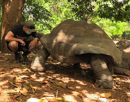 Haller Park, skildpadde i skoven africa tours