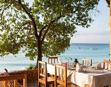 Sandies Baobab Beach zanzibar 16 africa tours