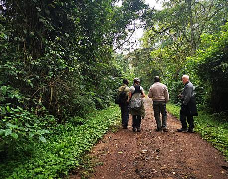 gåtur i junglen africa tours