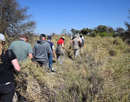 safarivandring africa tours