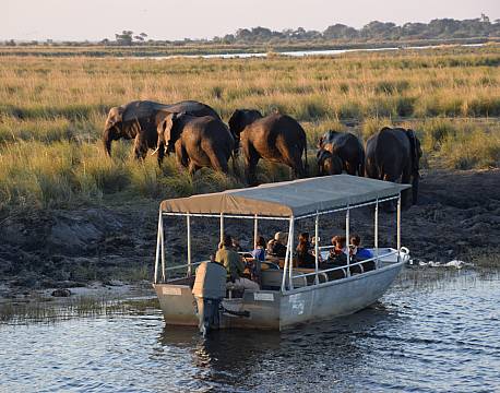 sejlsafari elefanter africa tours