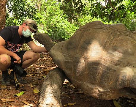 skildpaddesafari tæt på africa tours