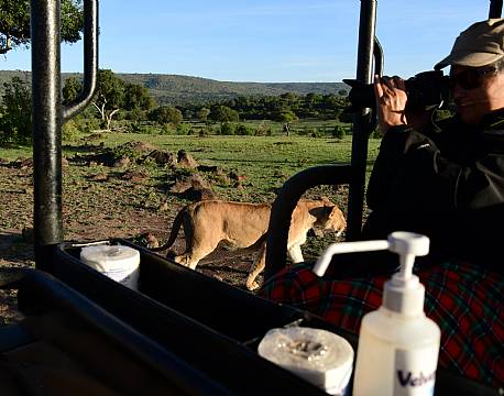 fotosafari løver africa tours