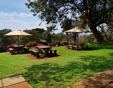 grønt spiseområde africa tours