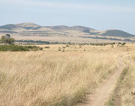 afrikansk slette africa tours