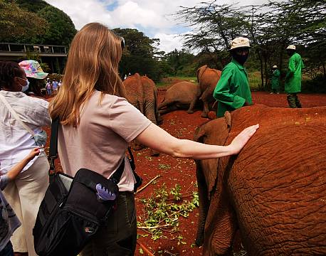 rør babyelefanter africa tours