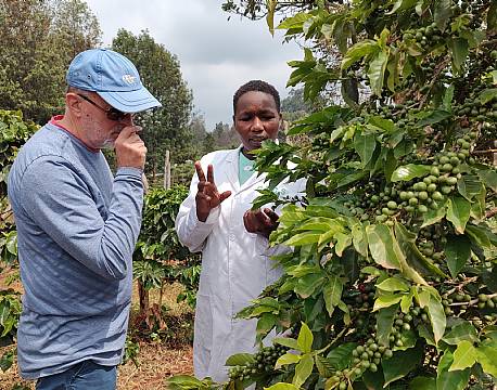 lokal rundvisning africa tours