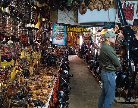 afrikansk trækunst africa tours