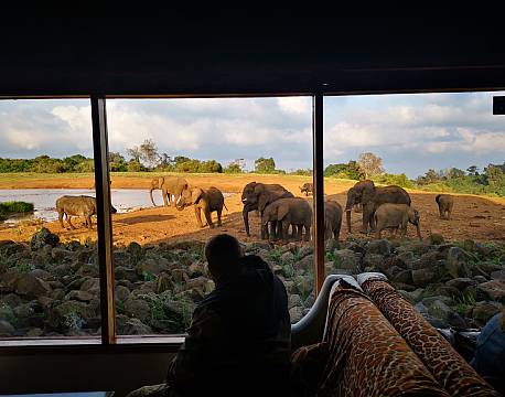 indkvartering ved siden af elefanter africa tours