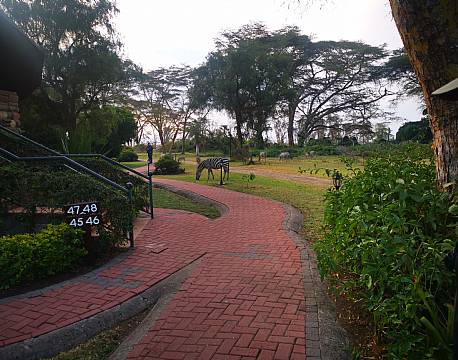 bo omkring dyrene afrika africa tours