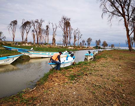 bådtur flod africa tours