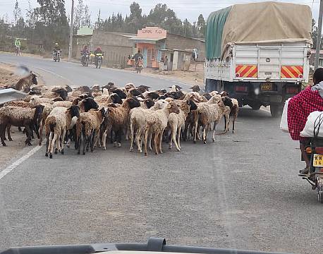 får på vejen africa tours