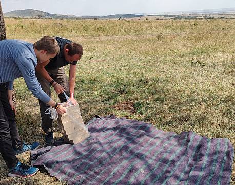 picnic på savannen africa tours